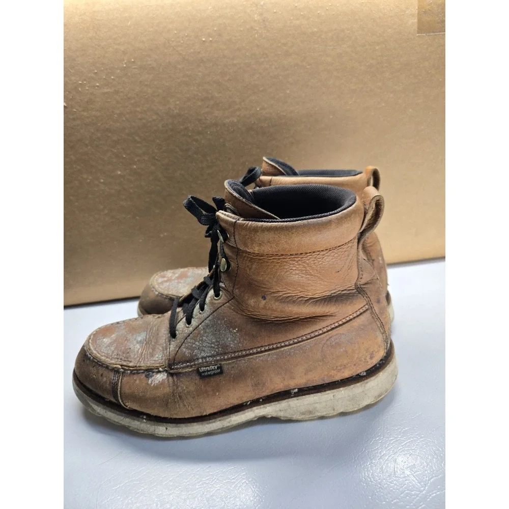 Irish Setter red wing